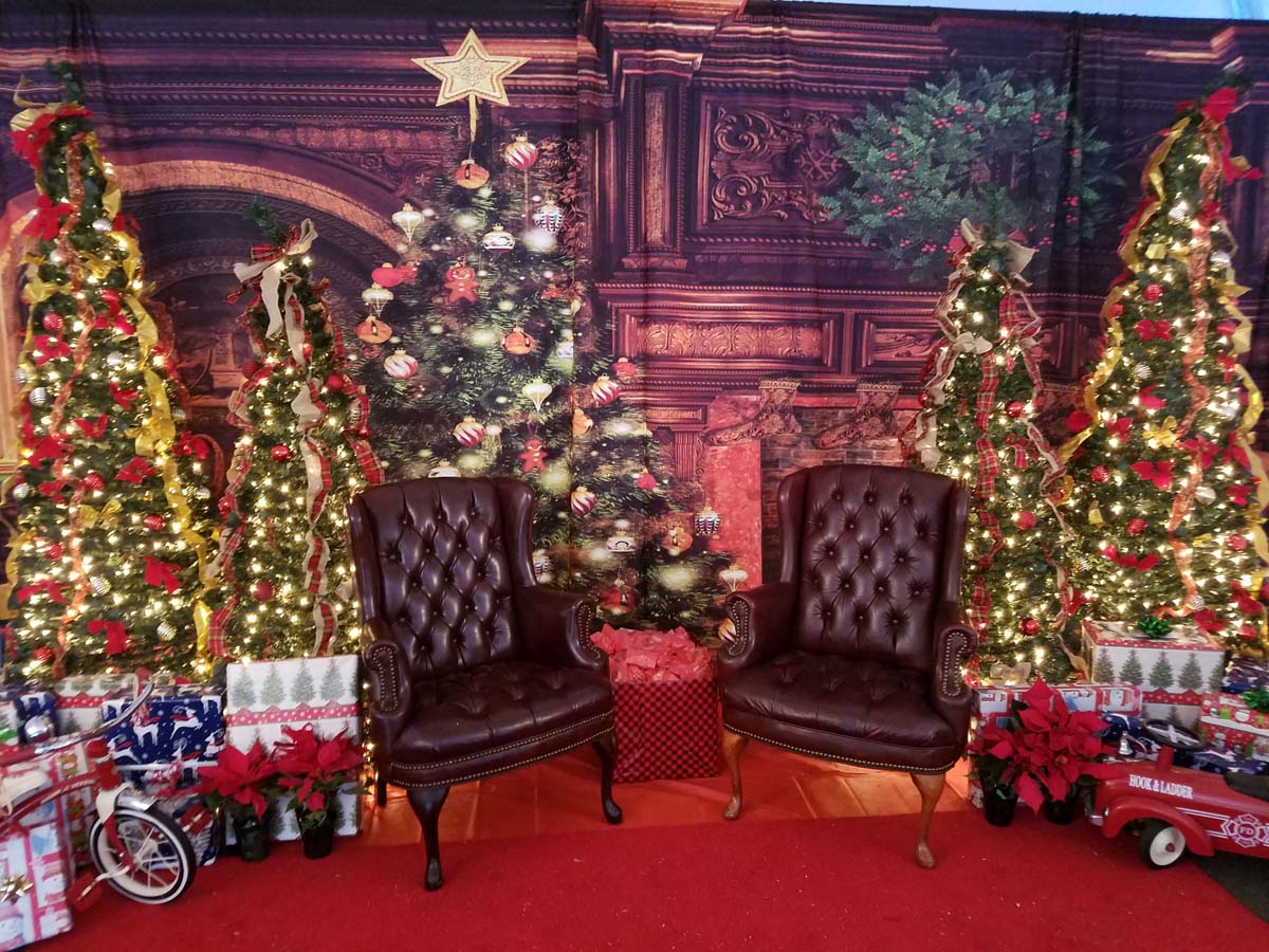 20+ Christmas Party Decoration Rentals, Top Concept!