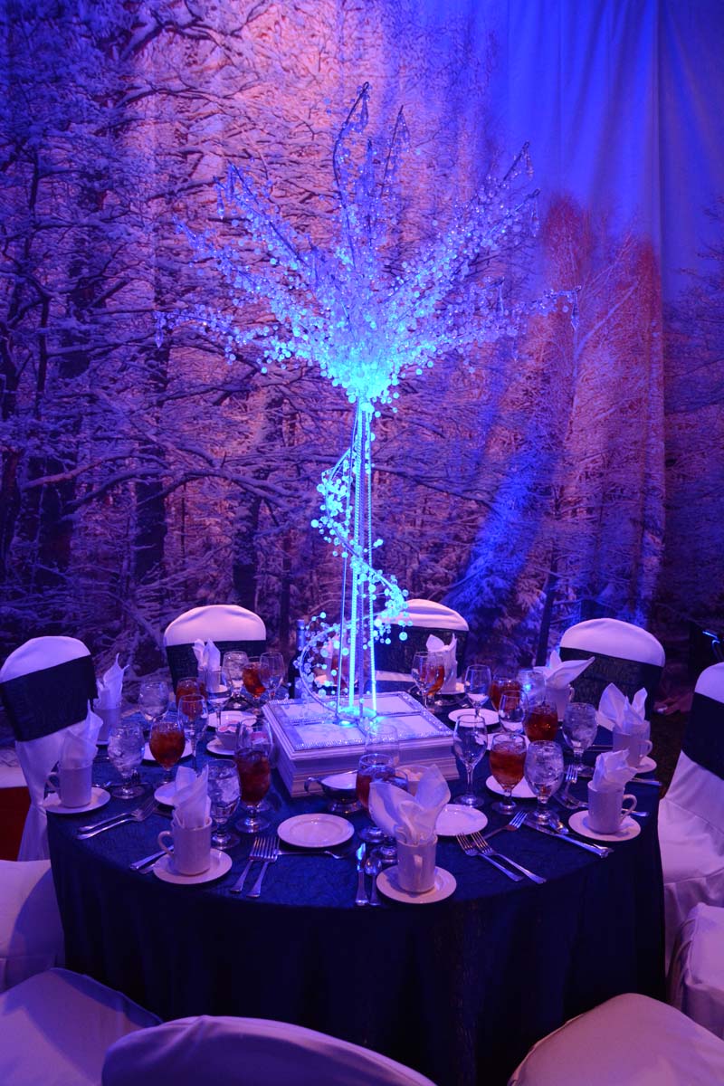 Winter Themed Party Decorations - Winter Wonderland Themed Company Christmas Party on a $50 ... : To make instant snow, all you need to do is buy bulk artificial snow, available in a variety of quantities, mix it with water and the next thing you know, you'll be able to make your office.