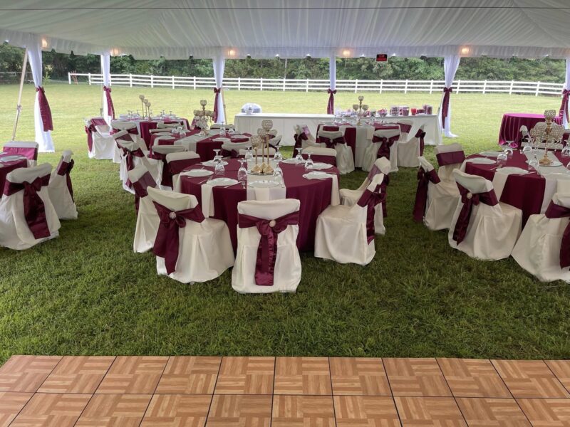 Richmond Wedding Tent, Fredericksburg Virginia Wedding Tent, Culpeper Wedding Tent, King George Wedding Tent, Dance Floor, home Wedding, At Home Wedding, Tent Rental, Rent a Tent, Backyard Wedding, Tables, Chairs, chair covers, Linens, DIY Wedding