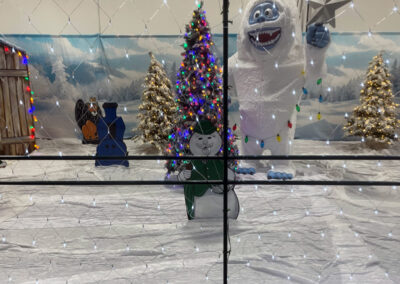 Christmas Holiday Decorations Rent Virginia