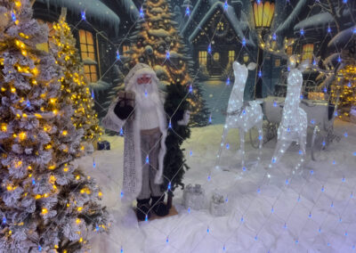 Christmas Holiday Decorations Rent Virginia