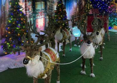 Christmas Holiday Decorations Rent Virginia
