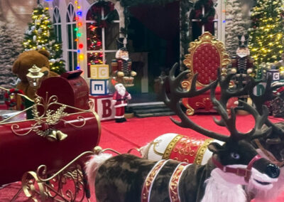Christmas Display Rental Retail Installation