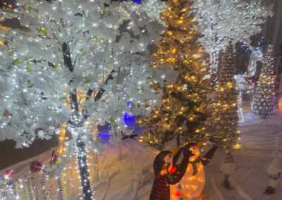 Christmas Tree Rental Fredericksburg Stafford