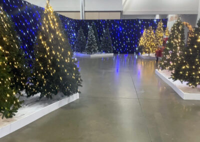 Christmas Tree Rental Virginia Holiday